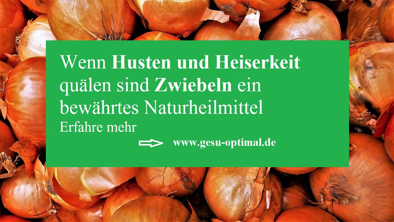 Mit Zwiebeln gegen Husten und Heiserkeit - gesu-optimal