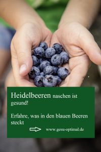 Heidelbeeren - Beeren für die Blutgefäße