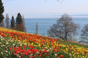 Kurzurlaub am Bodensee - Wassersport und Sightseeing.-