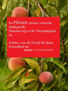 Der Pfirsich- Ein König feiert Hochsaison