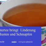 Wie Kräutertees Erkältungen vertreiben