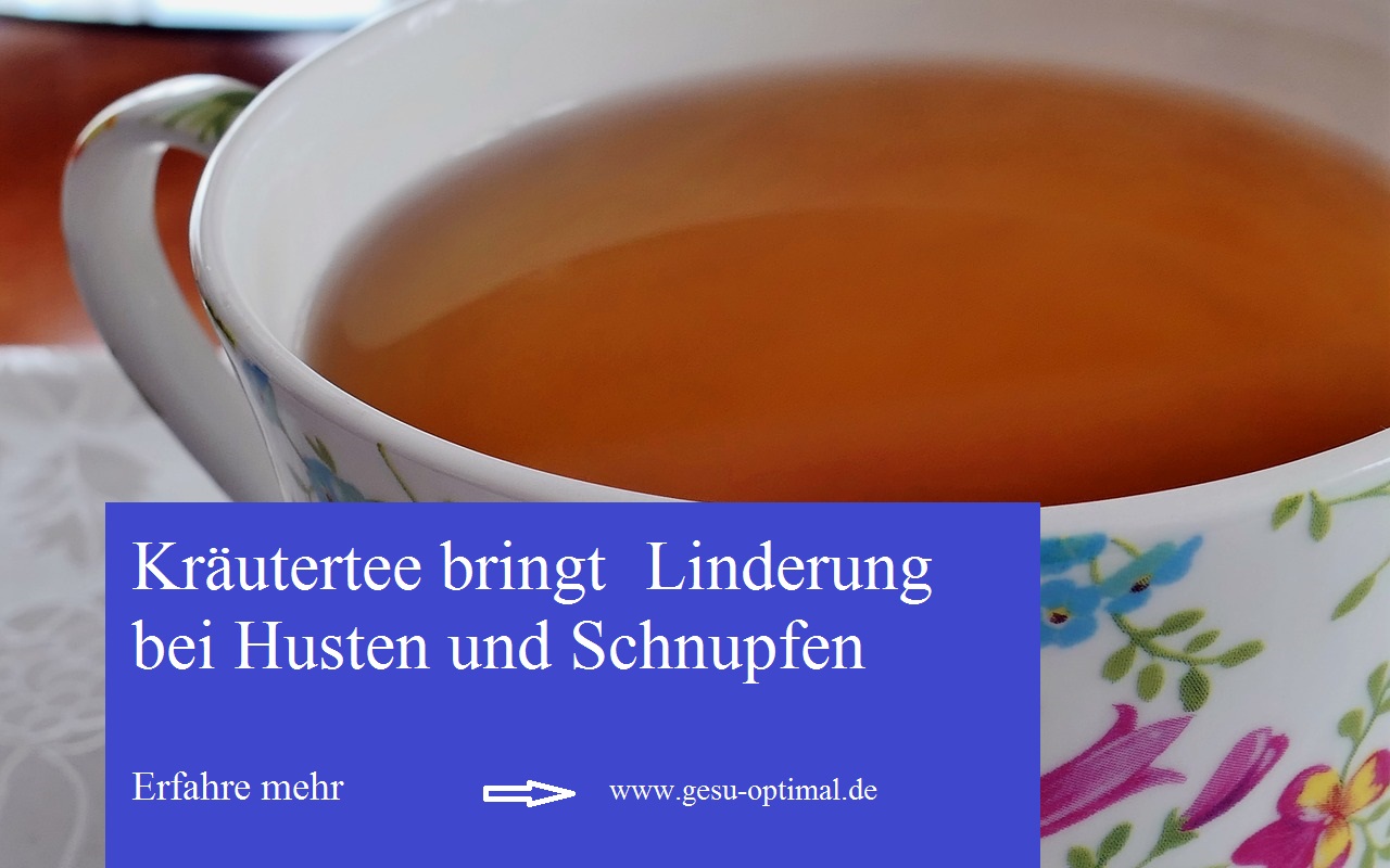 Wie Kräutertees Erkältungen vertreiben
