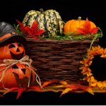 Kürbis – Gelbe Kugeln für die gesunde Ernährung