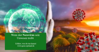 Norovirus - Hygiene schützt vor Ansteckung