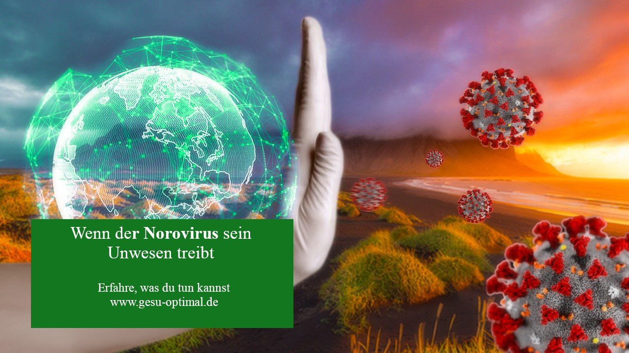 Norovirus - Hygiene schützt vor Ansteckung