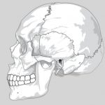 Kieferbruch - Erstversorgung und Behandlungsmethoden