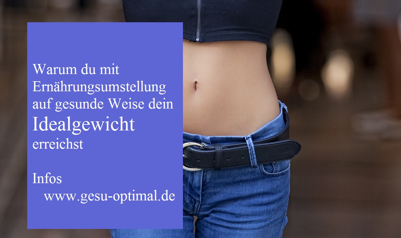 Traumfigur - Mit Taktik gezielt abnehmen