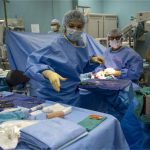 Aufklärung und Information - Tag der Organspende