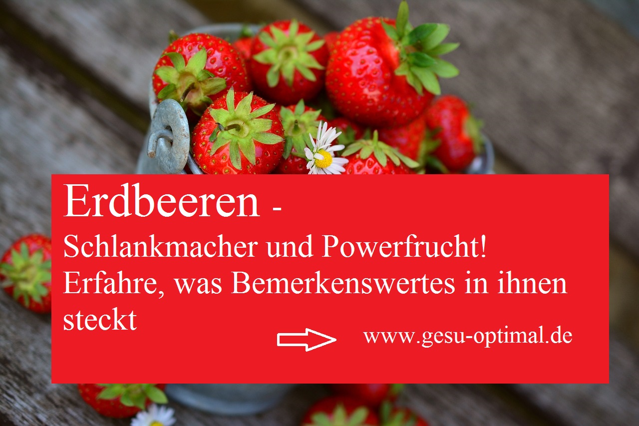 Erdbeeren - Schlankmacher und Powerfrucht im roten Design