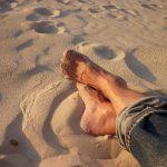 Die Sandmücke - Winzling und Krankheitsüberträger