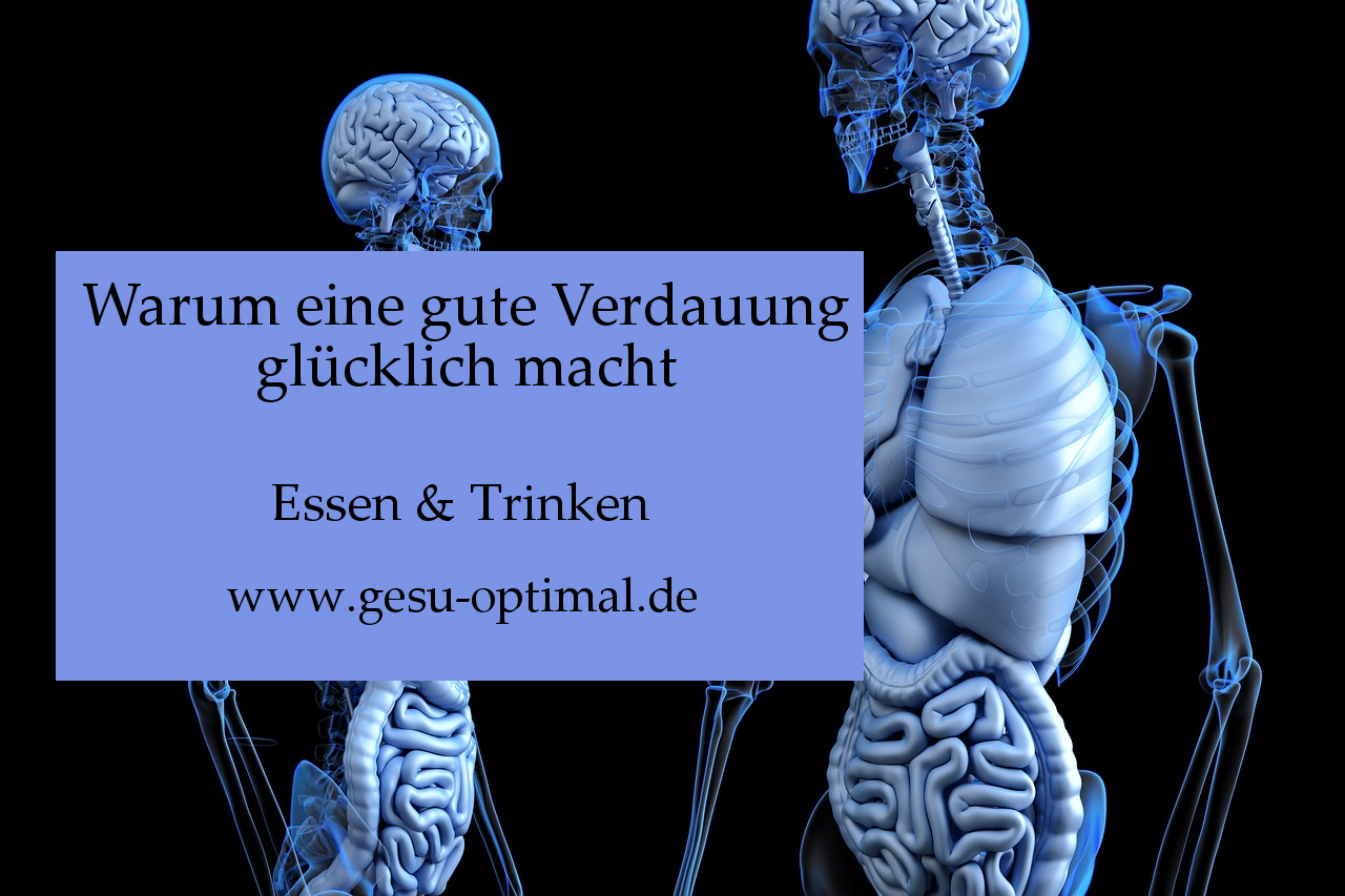 Warum eine gute Verdauung glücklich macht