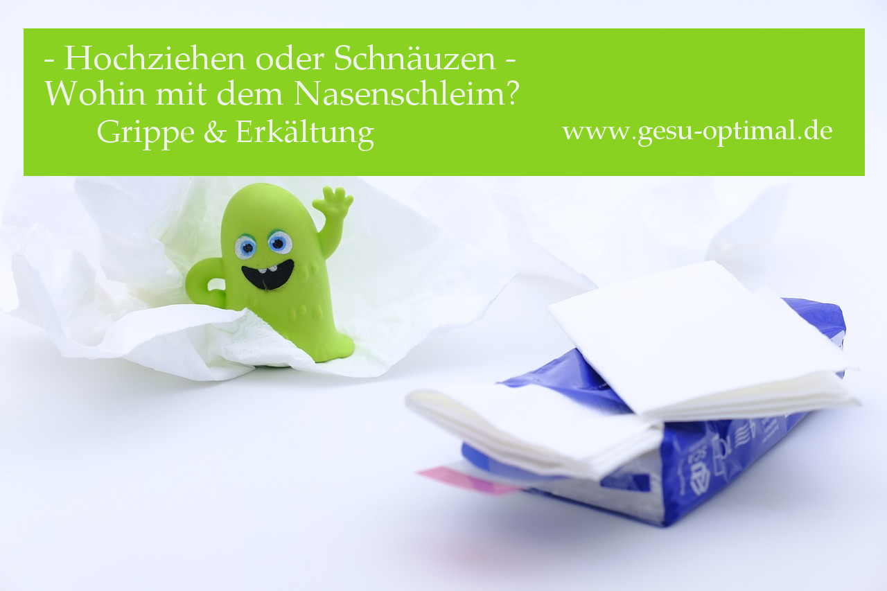 Wohin mit dem Nasenschleim - Hochziehen oder Schnäuzen