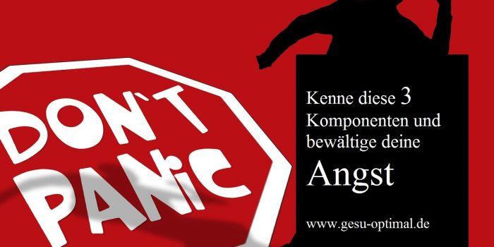 Wie äußert sich Angst - die 3 Komponenten