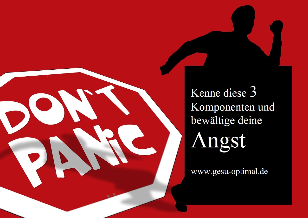 Wie äußert sich Angst - die 3 Komponenten