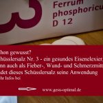 Schüsslersalz Nr. 3 - Das gesunde Eisenelixier