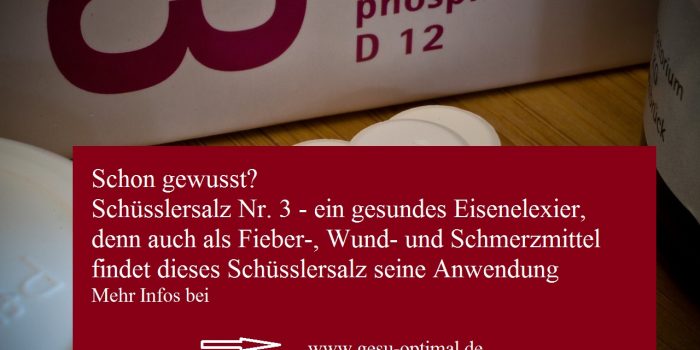 Schüsslersalz Nr. 3 - Das gesunde Eisenelixier