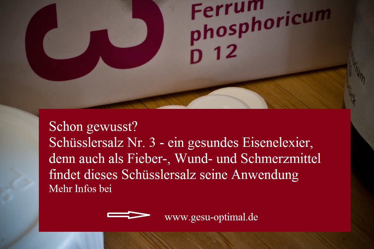 Schüsslersalz Nr. 3 - Das gesunde Eisenelixier