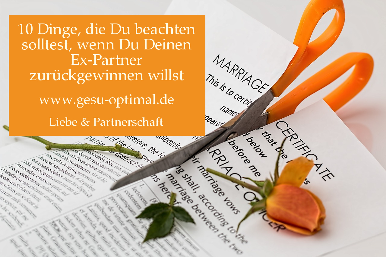 Trennung – Wie den Ex-Partner zurückgewinnen