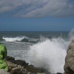 PFC - Wann wird die Mode giftfrei