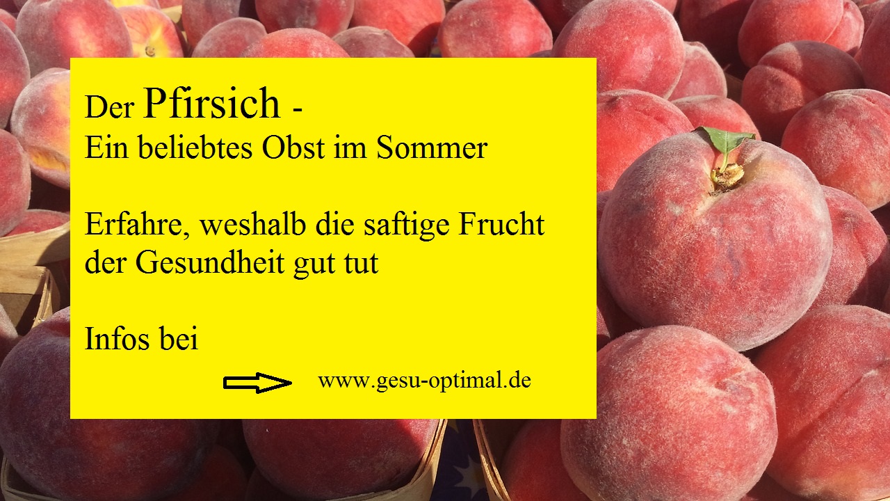 Der Pfirsich- Ein König feiert Hochsaison