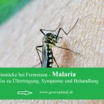 Malaria – warum infizierte Moskitos gefährlich sind