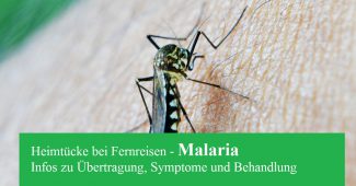 Malaria – warum infizierte Moskitos gefährlich sind