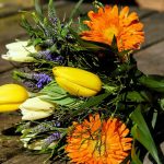 Die Symbolik von Blumen - wissenswerte Tipps