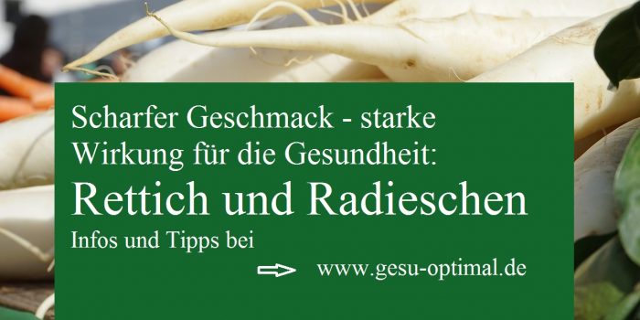 Wie gesund Rettich und Radieschen für die Galle sind