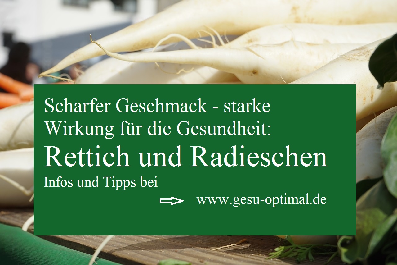 Wie gesund Rettich und Radieschen für die Galle sind