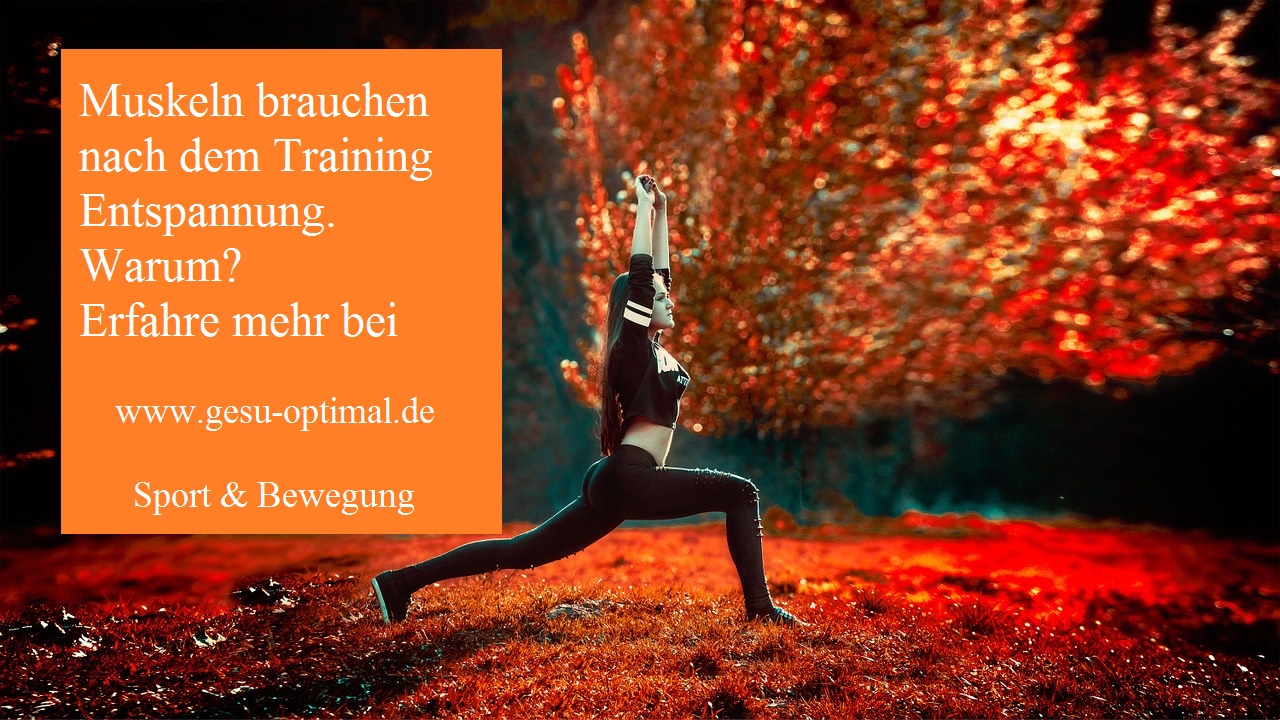 Warum Muskeln nach dem Training Entspannung brauchen