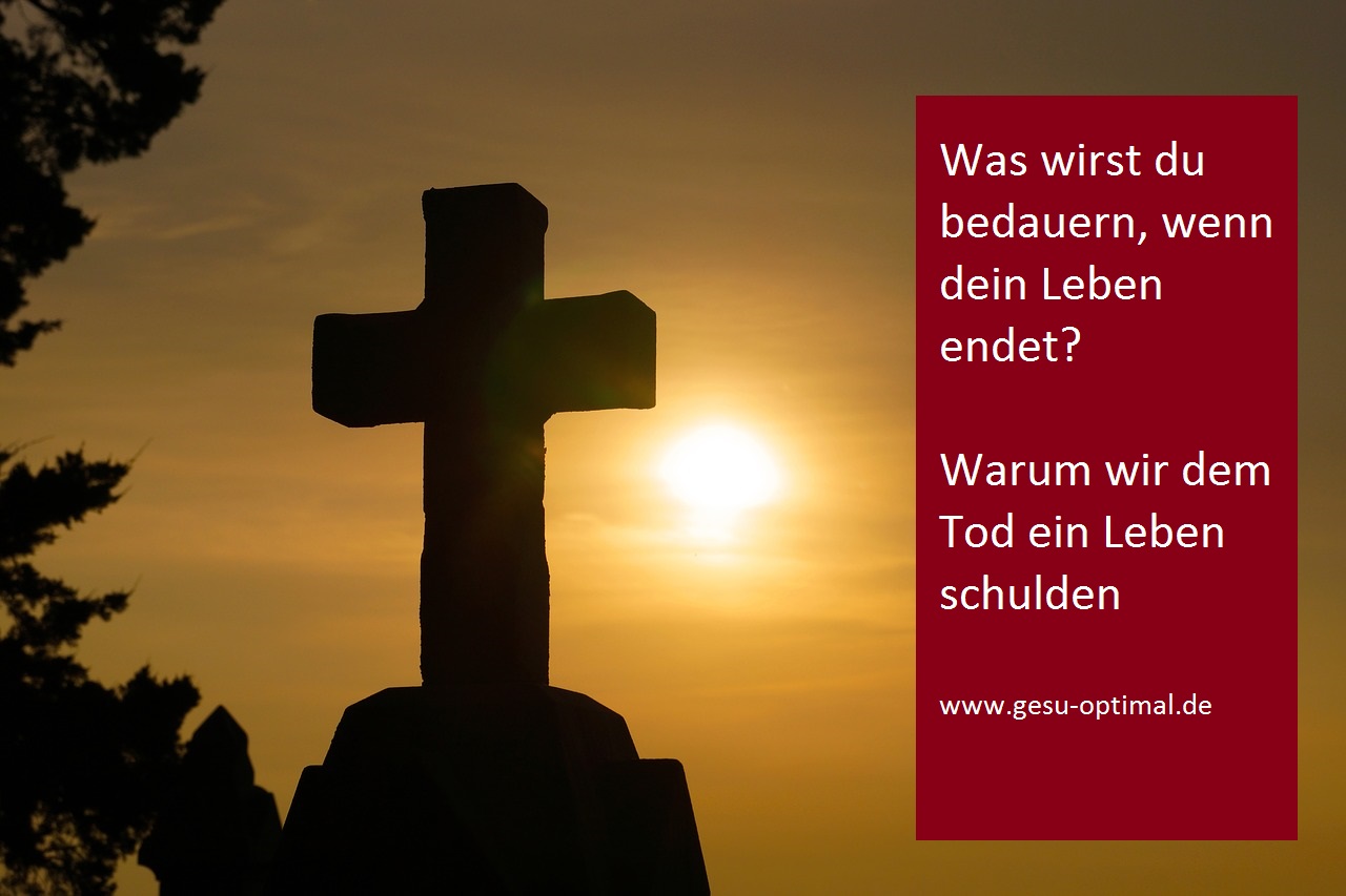 Weshalb wir dem Tod ein Leben schulden