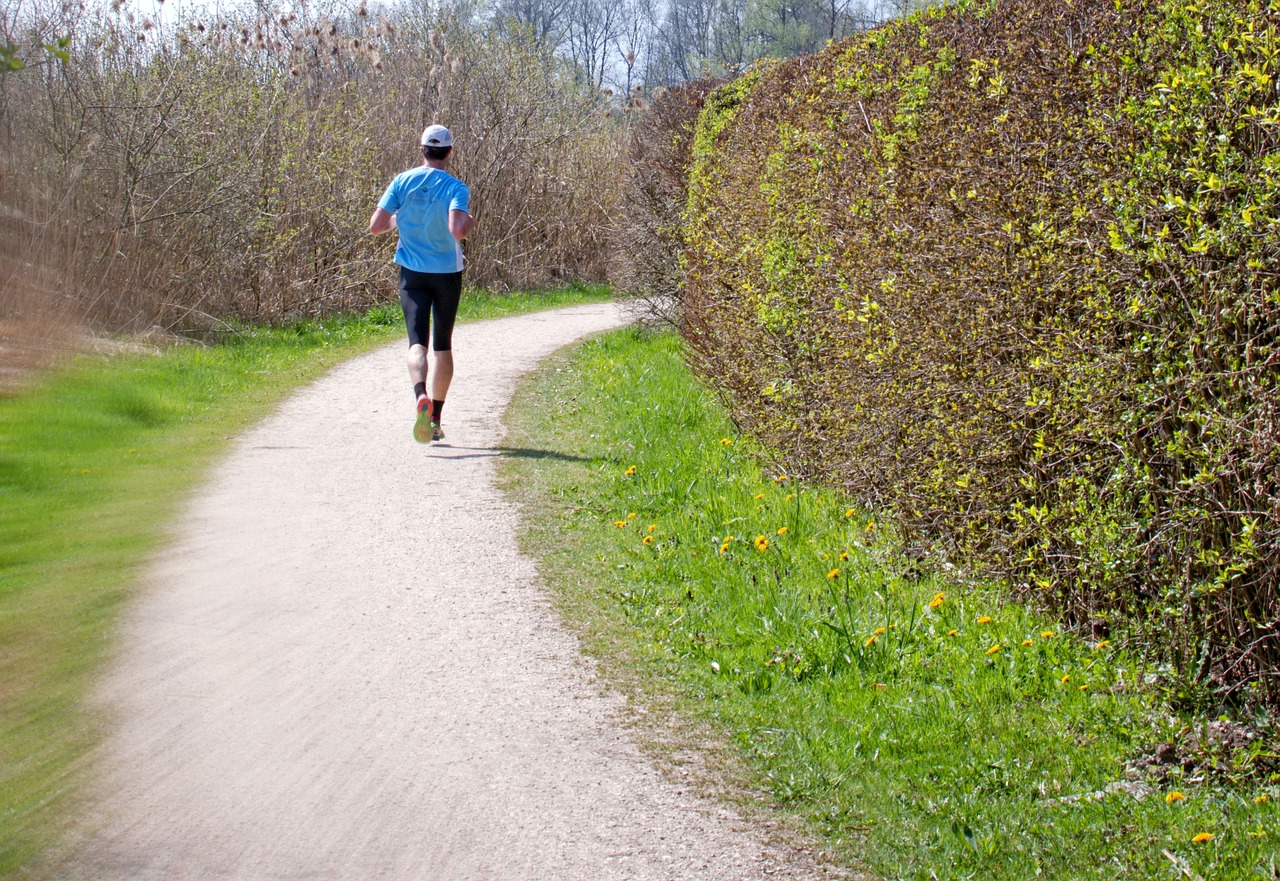 Wie Joggen als Ausdauertraining fit macht