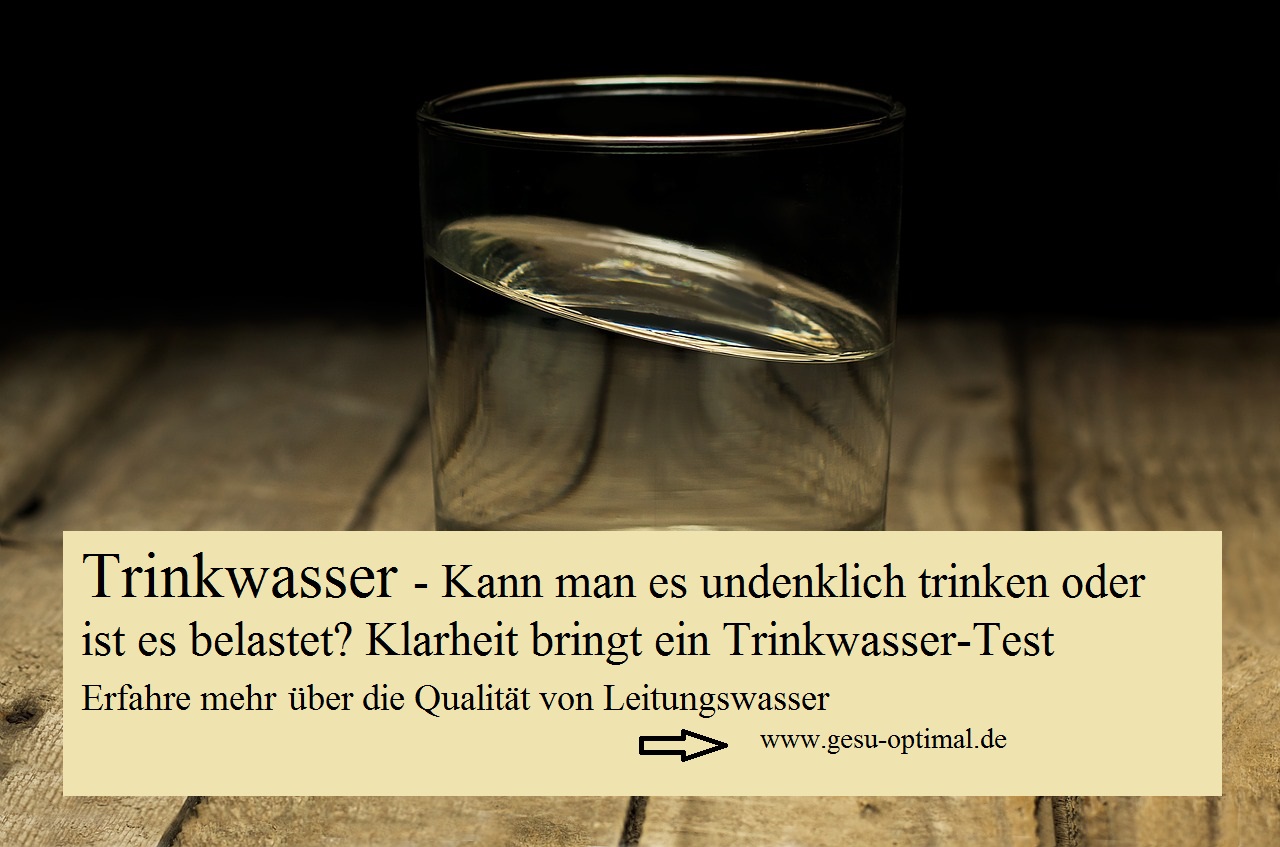 mit Analysen und Aussagen zu Studien