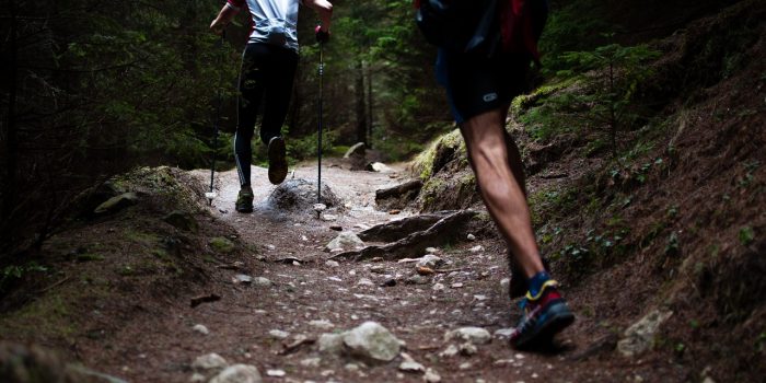 Trail Running, wenn es mehr als Joggen sein soll