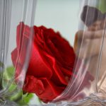 So lieben wir - Der große Sexreport