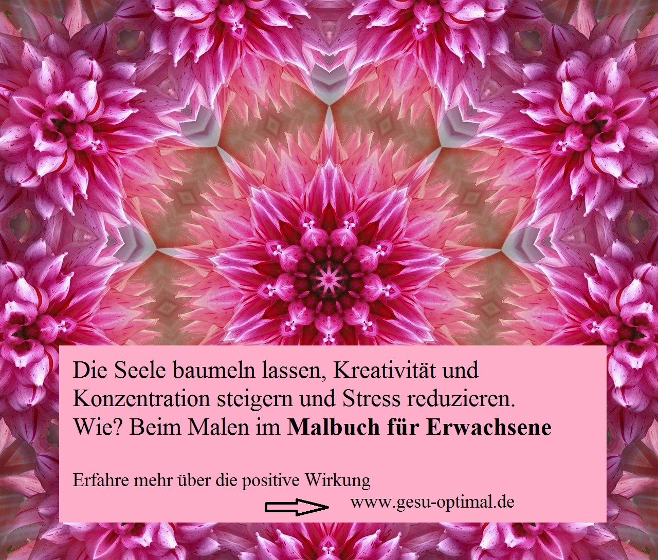 Malbuch für Erwachsene – Entspannung für die Seele
