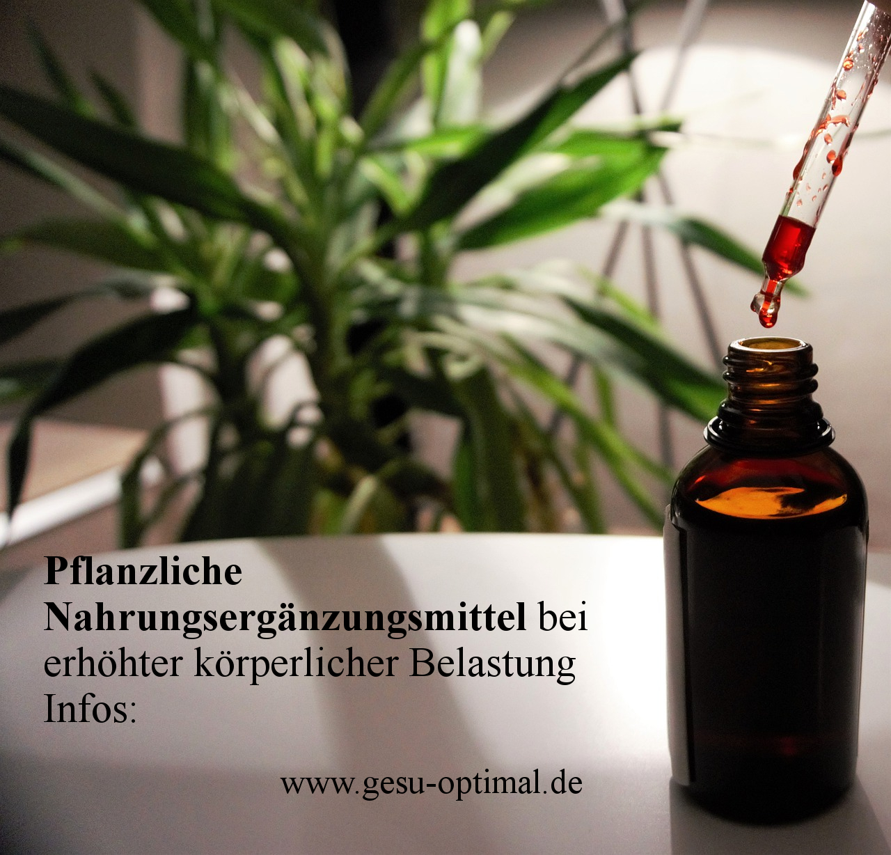 Nährstoffversorgung mit Extrakten aus der Natur