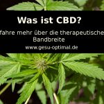 Die Wirkung von CBD