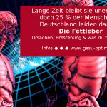 Fettleber - Ursachen, Entstehung u. was man tun kann