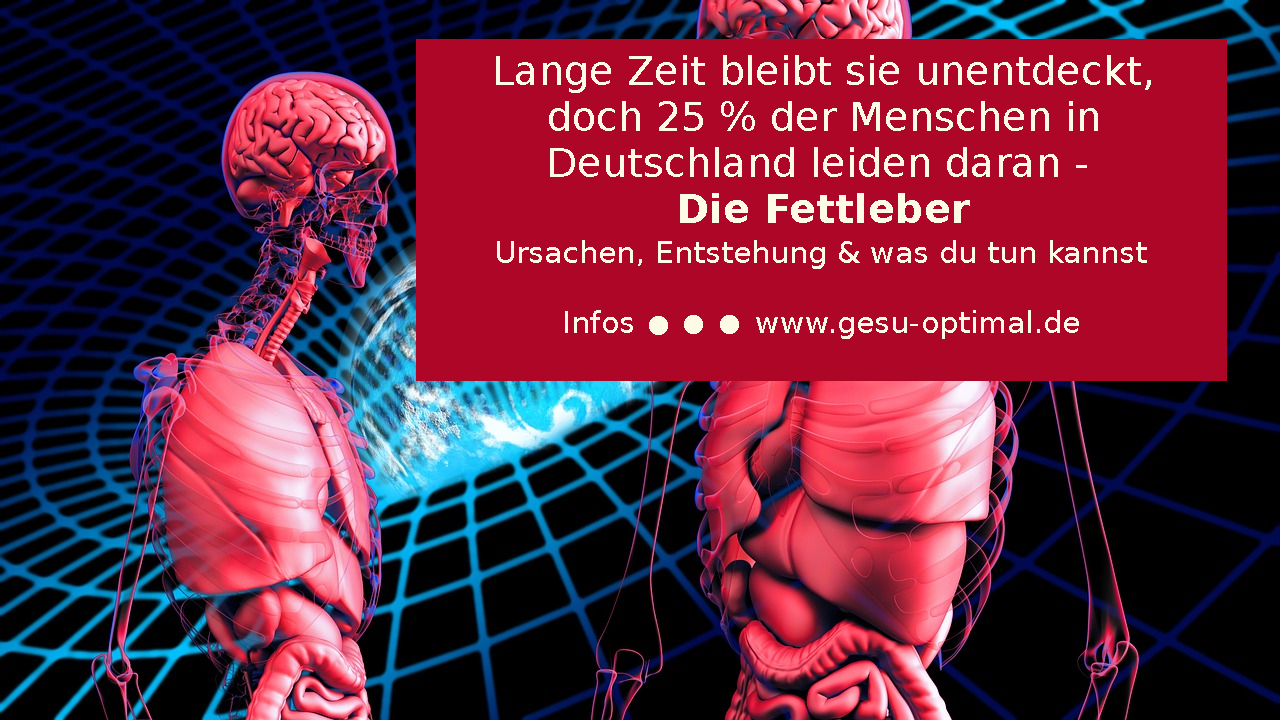 Fettleber - Ursachen, Entstehung u. was man tun kann