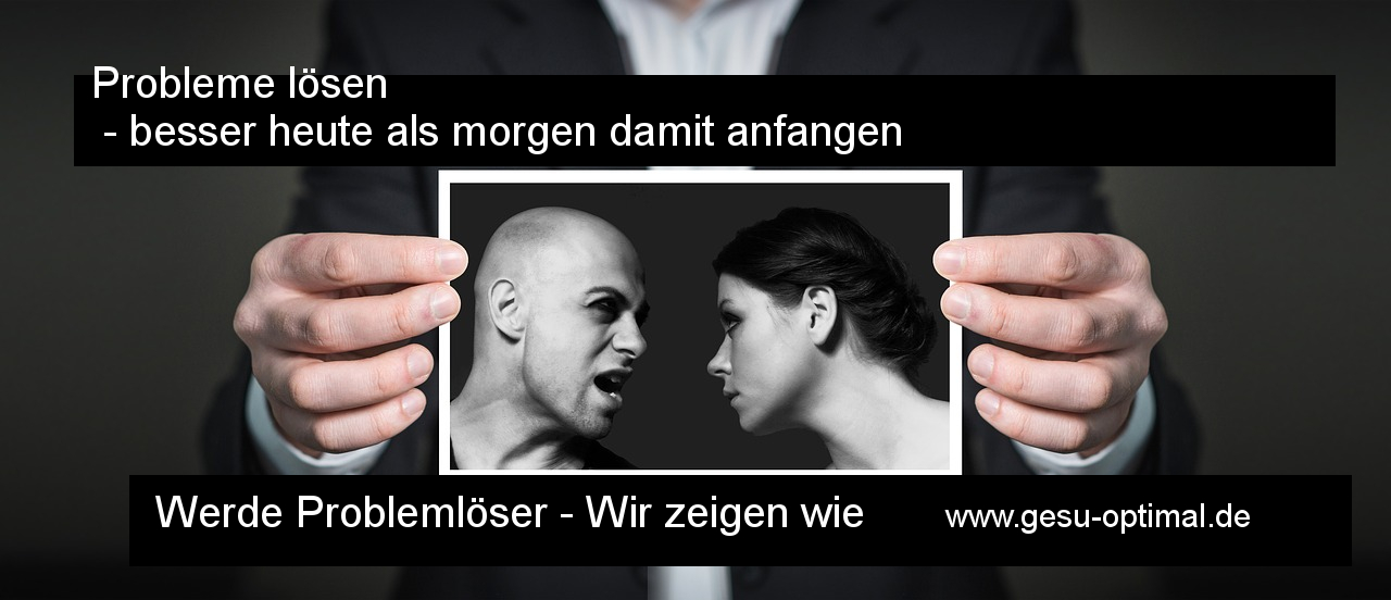 Problemlöser werden in nur 9 Schritten