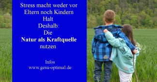 Natur als Kraftquelle und Stressabbau nutzen