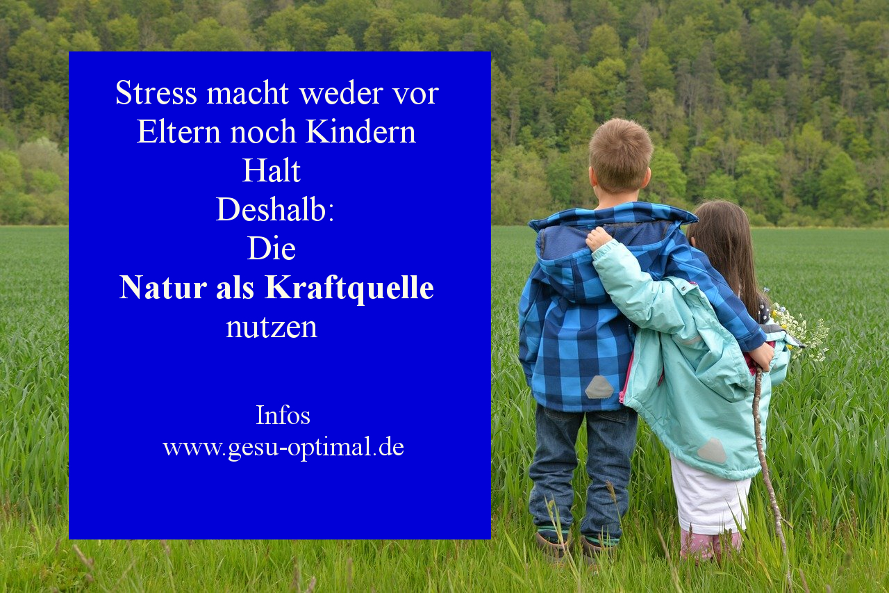 Natur als Kraftquelle und Stressabbau nutzen