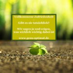 Vollkommene Zufriedenheit – ein Zustand innerer Ruhe