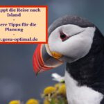 Eine Reise nach Island planen