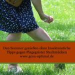 Plagegeister Stechmücken – so am besten vorbeugen